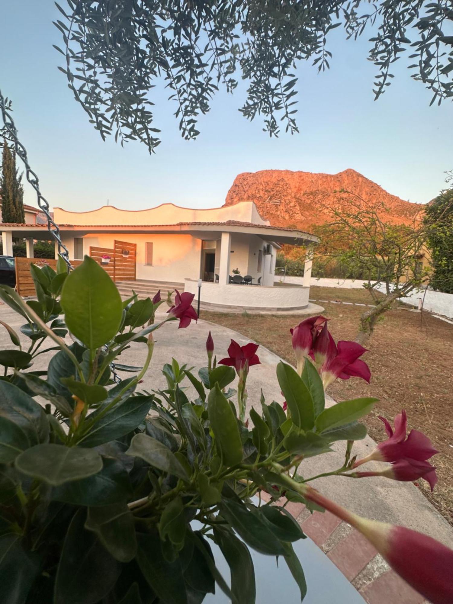 Casa Consiglio Ardicula Guest House Теразини Екстериор снимка